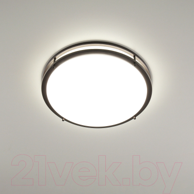 Потолочный светильник Citilux Бостон CL709505N