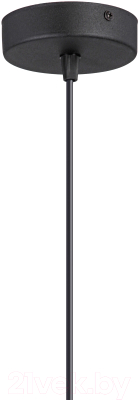 Потолочный светильник Vitaluce V2986-1/1S