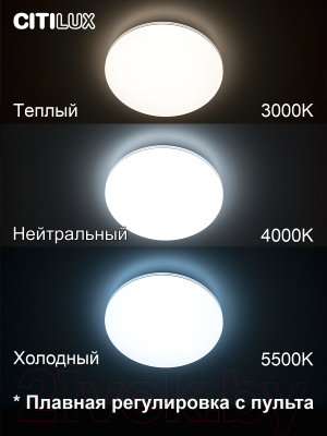 Потолочный светильник Citilux Симпла CL714480G