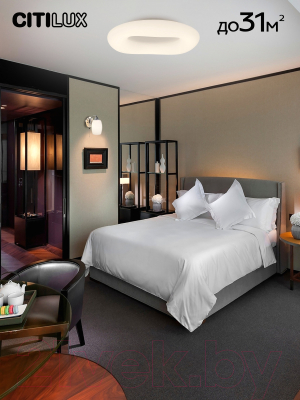 Потолочный светильник Citilux Стратус Смарт CL732A800G