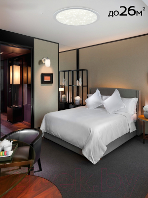 Потолочный светильник Citilux Спутник CL734900G