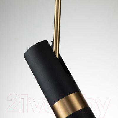 Потолочный светильник FAVOURITE Light Point 2997-1P