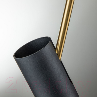 Потолочный светильник FAVOURITE Light Point 2997-1P