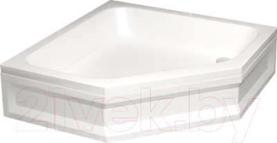 Душевой поддон RGW BT/CL-S / 16180599-51 - фото