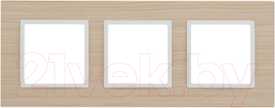 Рамка для выключателей и розеток ЭРА Elegance 14-5303-01 / Б0049150 - фото