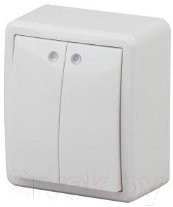 Выключатель ЭРА Эксперт 11-1205-01 / Б0020666 - фото