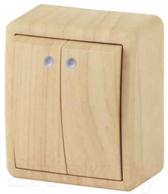 Выключатель ЭРА Эксперт 11-1205-11 / Б0020668 - фото