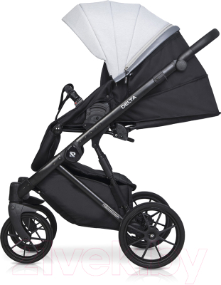 Детская универсальная коляска Riko Basic Delta 3 в 1