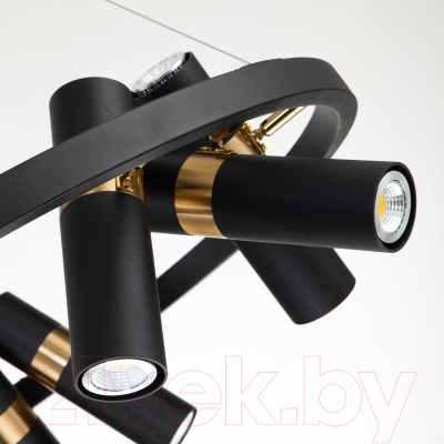 Люстра FAVOURITE Light Point 2997-9P