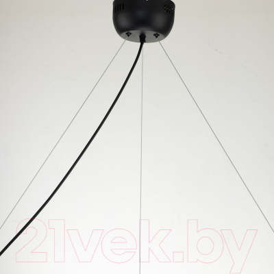 Люстра FAVOURITE Light Point 2997-9P