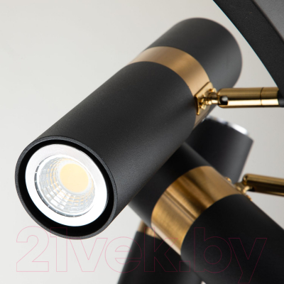 Люстра FAVOURITE Light Point 2997-9P