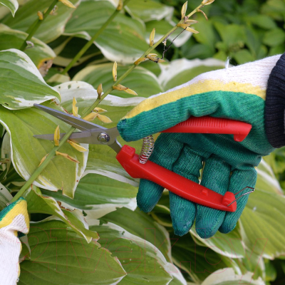 Садовые ножницы механические Мультидом VL83-203