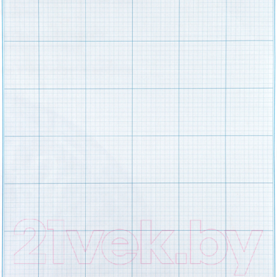 Папка для черчения Лилия Холдинг А3 300x400 / ПМ/А3