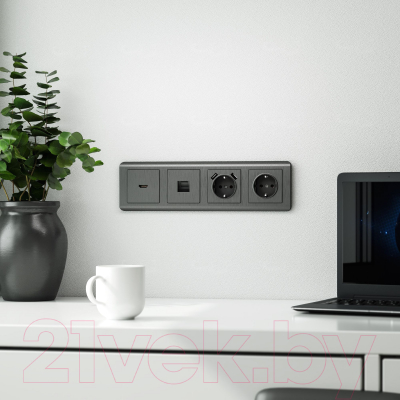 Розетка Werkel W1171104 / a050750