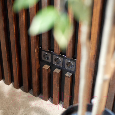 Розетка Werkel W1171104 / a050750