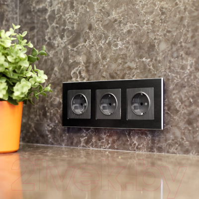 Розетка Werkel W1171104 / a050750