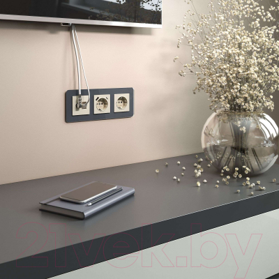 Розетка Werkel RJ-45 W1181303 / a056110