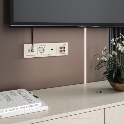 Розетка Werkel RJ-45 W1181303 / a056110