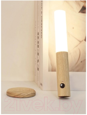 Ночник Лючия Woodlight L200