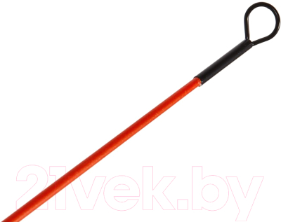 Удочка Salmo Fin 01 / 422-01