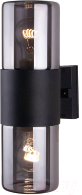 Бра уличное Elektrostandard Roil 35125/D - фото