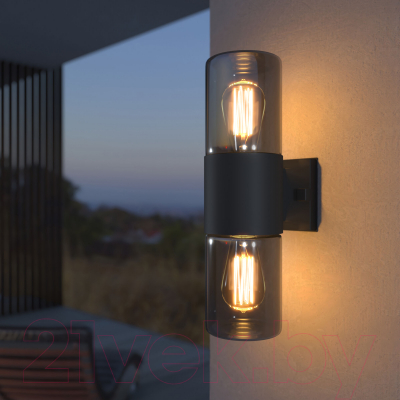 Бра уличное Elektrostandard Roil 35125/D