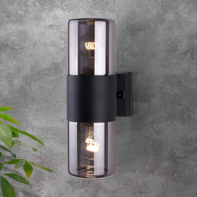 Бра уличное Elektrostandard Roil 35125/D