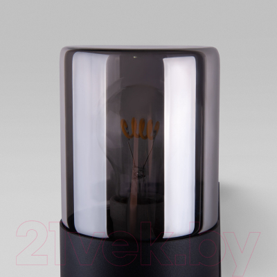 Бра уличное Elektrostandard Roil 35125/D