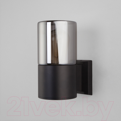 Бра уличное Elektrostandard Roil 35125/U