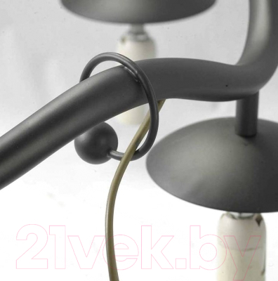 Люстра Lussole LGO LSP-0212