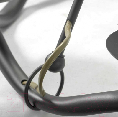 Люстра Lussole LGO LSP-0212