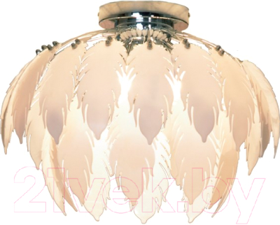 Люстра Lussole Vercelli LSQ-1907-05 - фото