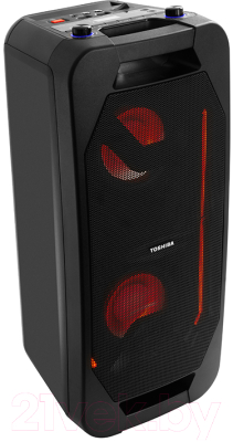 Портативная акустика Toshiba TY-ASC66
