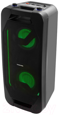 Портативная акустика Toshiba TY-ASC66
