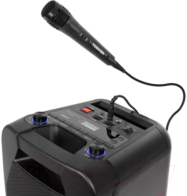 Портативная акустика Toshiba TY-ASC66