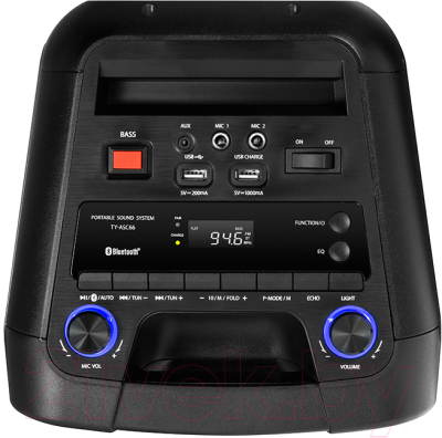 Портативная акустика Toshiba TY-ASC66