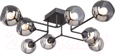 Люстра Vitaluce V4795-1/8PL - фото