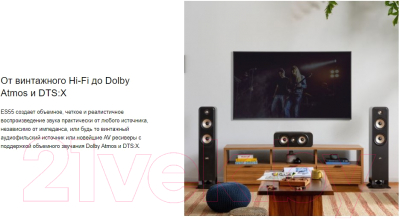 Акустическая система Polk Audio Signature Elite ES55 Black