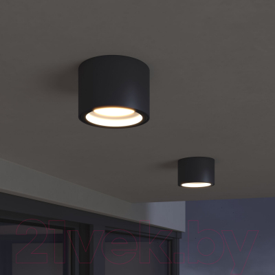 Светильник уличный Elektrostandard Light 26231 35144/H