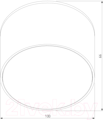 Светильник уличный Elektrostandard Light 26231 35144/H