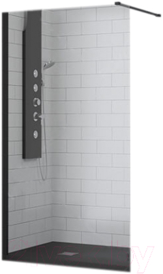 Душевая стенка RGW WA-002 B / 35100207-14 - фото