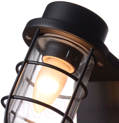 Бра уличное FAVOURITE Pointer 3021-1W