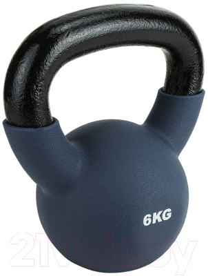 Гиря Torres PL55226