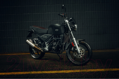 Мотоцикл M1NSK C4 300