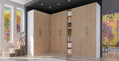 Шкаф Мебель-Неман Отис МН-039-09 П3