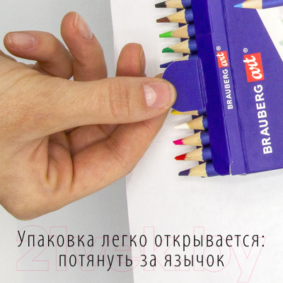 Набор цветных карандашей Brauberg Art Classic / 181536