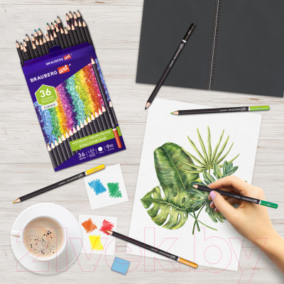 Набор цветных карандашей Brauberg Art Classic / 181538