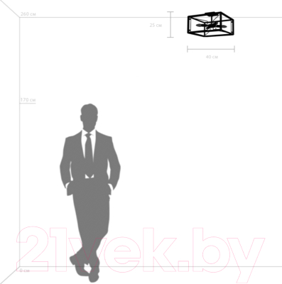 Люстра Lightstar Regolo 713347