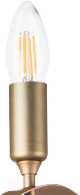 Люстра Lightstar Ragno 733263 (MD21041-6M)