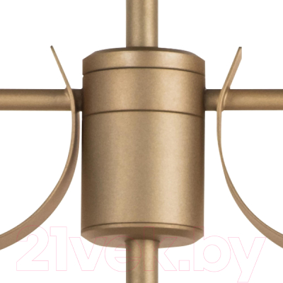 Люстра Lightstar Ragno 733283 (MD21041-8A)